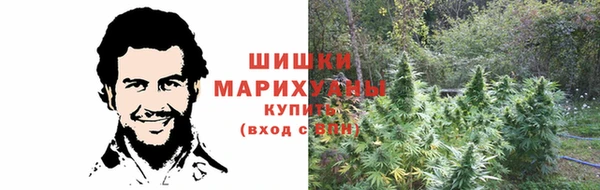 стаф Зерноград