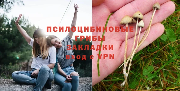 экстази Заводоуковск