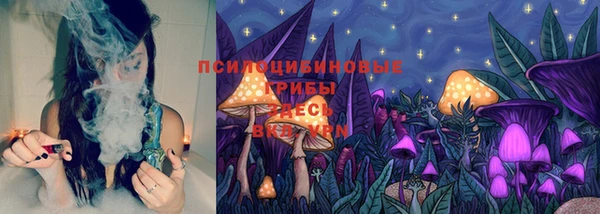apvp Болохово