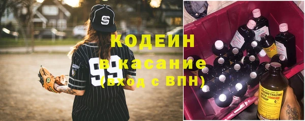 хмурый Покачи