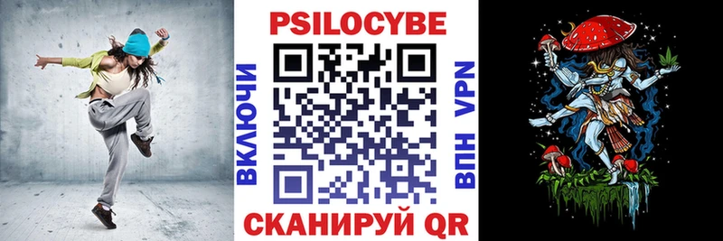 Галлюциногенные грибы мицелий  Камень-на-Оби 