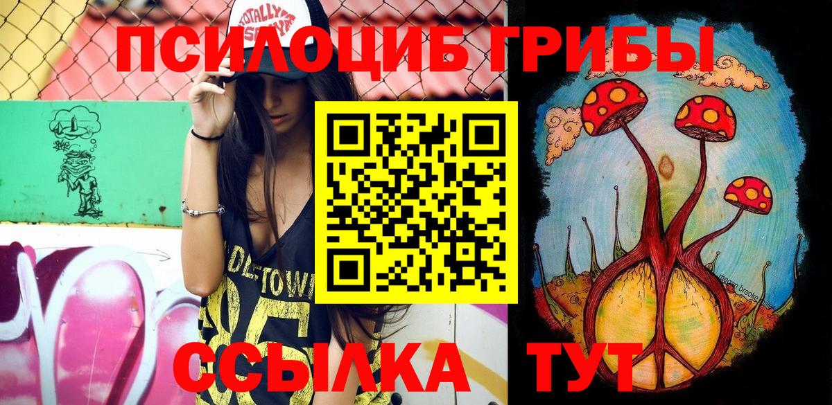 Камень-на-Оби  Псилоцибиновые грибы мухоморы  Вход с VPN  Псилоцибиновые грибы GOLDEN TEACHER 