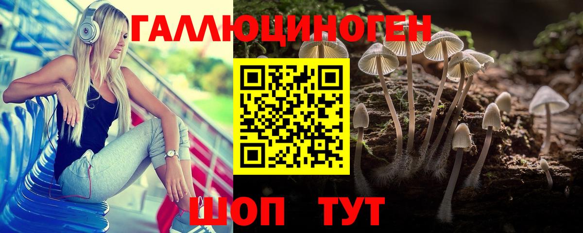 Псилоцибиновые грибы Psilocybe Камень-на-Оби